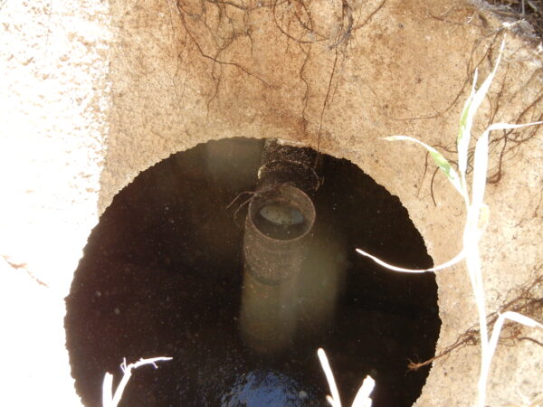 Septic baffle